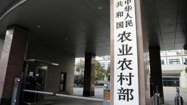 思考资本 农业农村部：今日全国农产品批发市场猪肉平均价格比节前上升1.8%