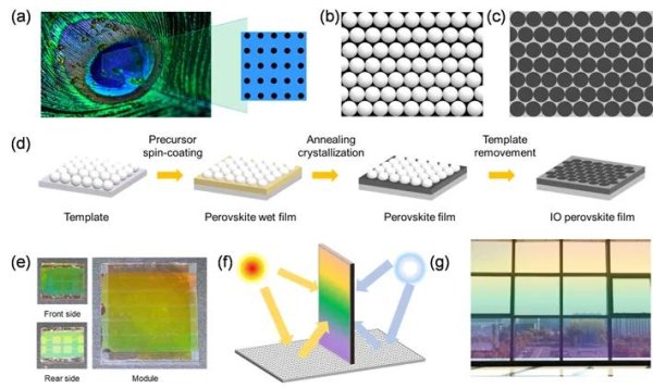 华泰配资 科学家解锁太阳能电池的“彩虹密码”，让发电板变身动态画布