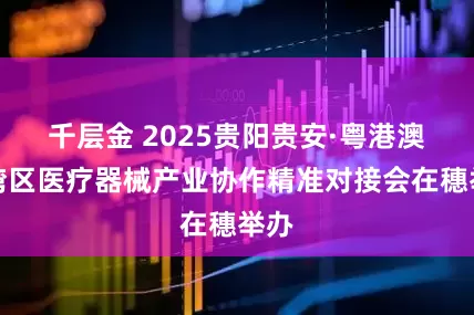 千层金 2025贵阳贵安·粤港澳大湾区医疗器械产业协作精准对接会在穗举办