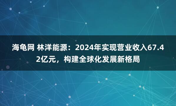 海龟网 林洋能源：2024年实现营业收入67.42亿元，构建全球化发展新格局